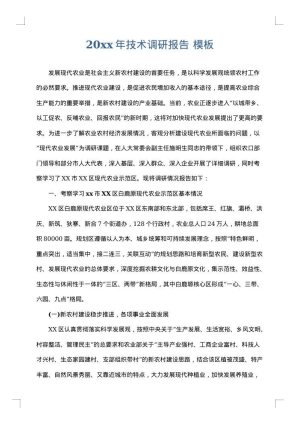 2025年技术调研报告