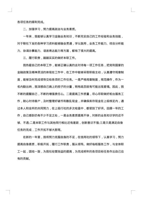 财务出纳个人报告2025年总结