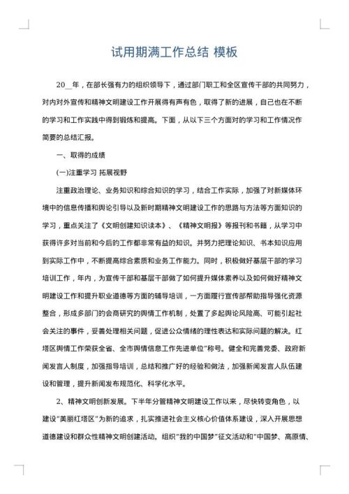 试用期满工作总结