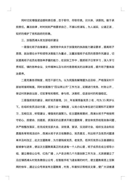 2025年村主任述职述廉报告