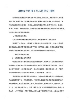 2025年环境工作总结范文
