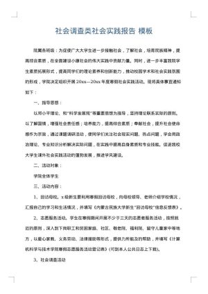 社会调查类社会实践报告