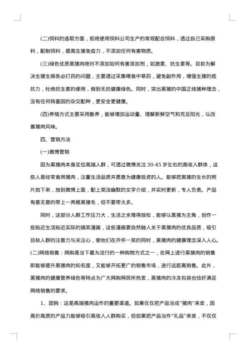 网络营销策划