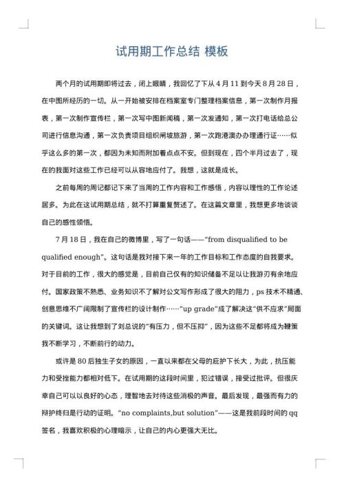 试用期工作总结