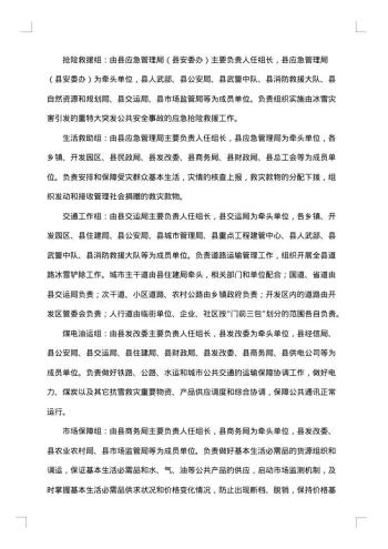 县区暴雪灾害应急预案范文