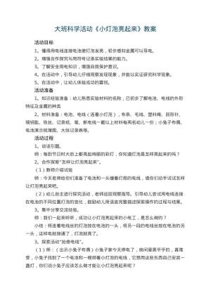 幼儿园大班科学活动《小灯泡亮起来》教案 包含反思预览