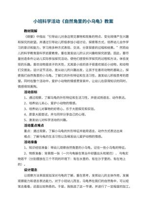 幼儿园小班科学活动教案《自然角里的小乌龟》 包含反思