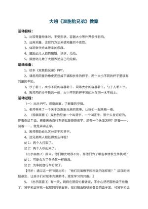 幼儿园大班教案《双胞胎兄弟》 包含反思