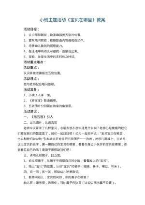 幼儿园小班主题活动教案《宝贝在哪里》 包含反思