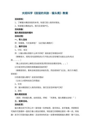 幼儿园大班科学教案《田鼠的天敌―猫头鹰》 包含反思