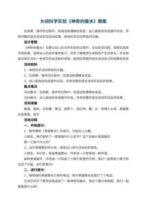 幼儿园大班科学实验《神奇的魔水》优秀教案