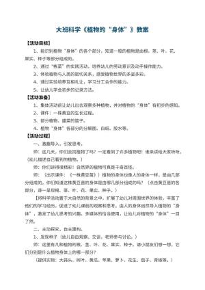 幼儿园大班科学优秀教案《植物的“身体”》 包含反思
