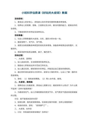 幼儿园小班科学估质课教案《好玩的大皮球》 包含反思