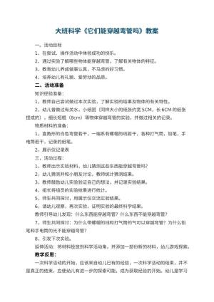 幼儿园大班科学优秀教案《它们能穿越弯管吗》 包含反思