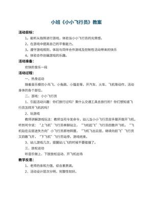 幼儿园小班教案《小小飞行员》 包含反思