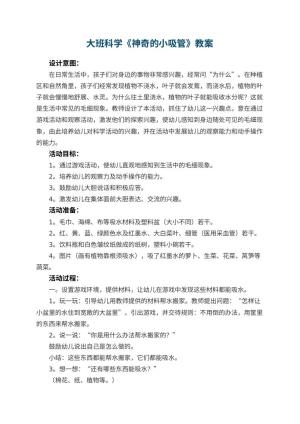 幼儿园大班科学优秀教案《神奇的小吸管》 包含反思