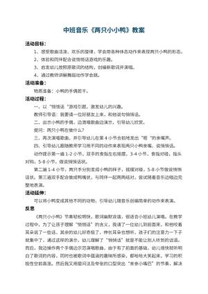 幼儿园中班音乐教案《两只小小鸭》 包含反思