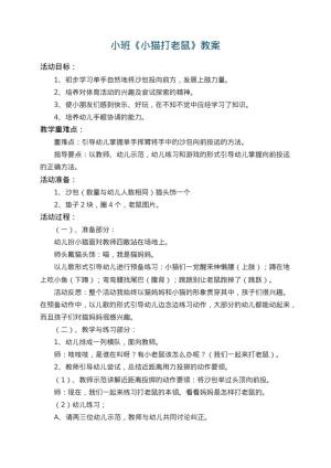 幼儿园小班教案《小猫打老鼠》 包含反思