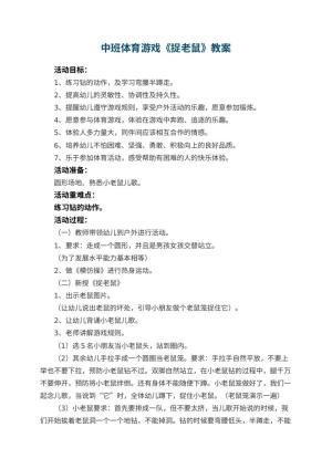 幼儿园中班体育游戏《捉老鼠》 包含反思预览