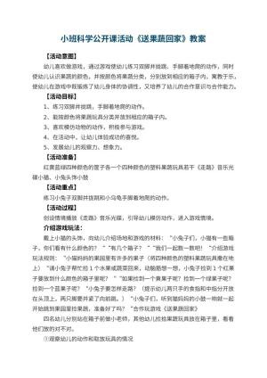 幼儿园小班科学公开课教案活动《送果蔬回家》 包含反思