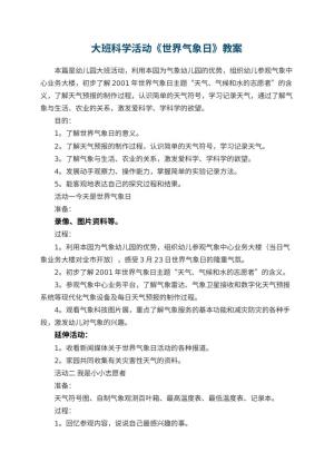 幼儿园大班科学活动《世界气象日》教案预览