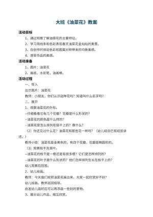幼儿园大班教案《油菜花》 包含反思预览