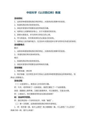 幼儿园中班科学《认识西红柿》教案 包含反思预览