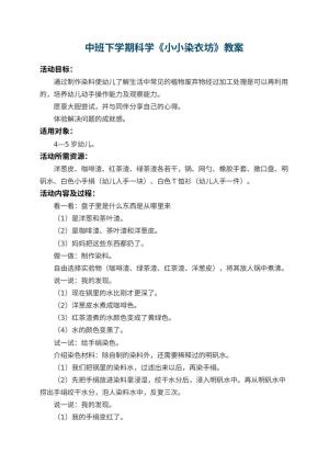 幼儿园中班下学期科学教案《小小染衣坊》预览