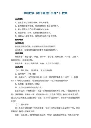 幼儿园中班数学教案《看下面是什么样？》 包含反思预览