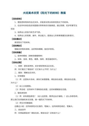 幼儿园大班美术欣赏教案《阳光下的树林》 包含反思预览