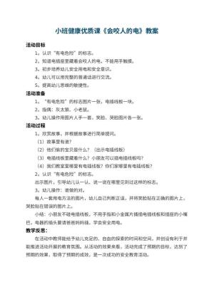 幼儿园小班健康优质课教案《会咬人的电》 包含反思