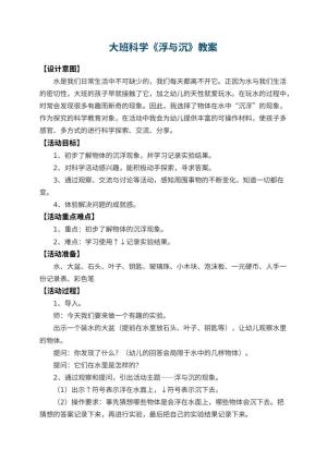 幼儿园大班科学教案《浮与沉》 包含反思预览