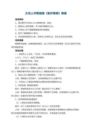 幼儿园大班上学期健康教案《爱护眼睛》 包含反思预览
