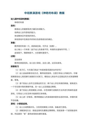 幼儿园中班表演游戏教案《神奇的布袋》 包含反思预览