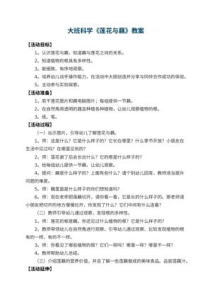 幼儿园大班科学教案《莲花与藕》 包含反思