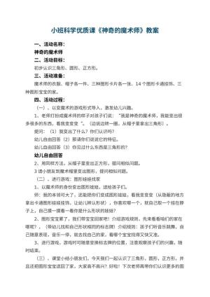 幼儿园小班科学优质课教案《神奇的魔术师》 包含反思预览