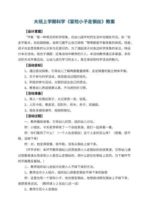 幼儿园大班上学期科学教案《冒险小子走钢丝》 包含反思预览