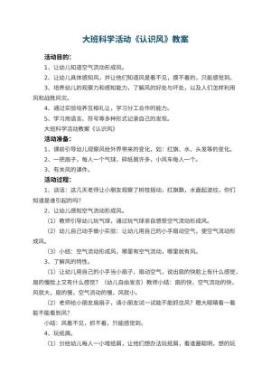 幼儿园大班科学活动教案《认识风》 包含反思预览