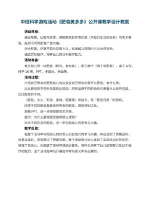 幼儿园中班科学游戏活动《肥皂美多多》公开课教学设计 包含反思预览