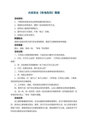 幼儿园大班安全教案《有电危险》 包含反思预览