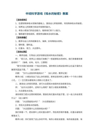 幼儿园中班科学游戏教案《吸水的秘密》 包含反思预览