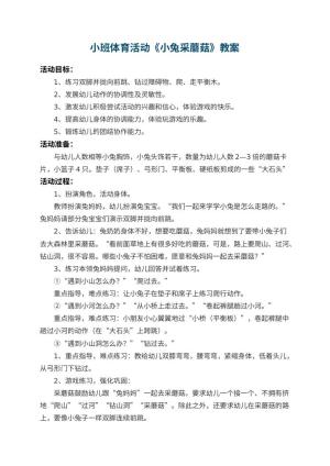 幼儿园小班体育活动优秀教案《小兔采蘑菇》 包含反思预览