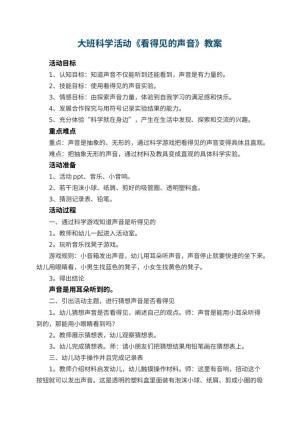 幼儿园大班科学活动教案《看得见的声音》 包含反思预览