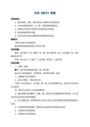 幼儿园大班教案《柚子》预览