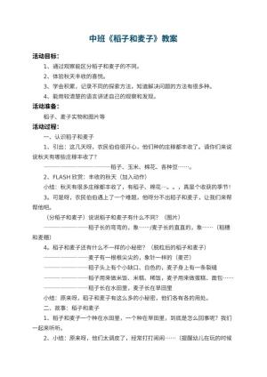 幼儿园中班教案《稻子和麦子》 包含反思预览