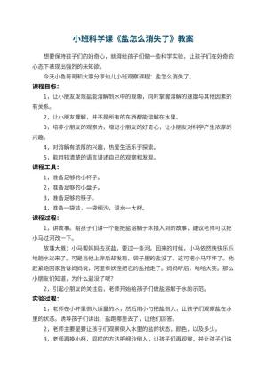 幼儿园小班科学课教案《盐怎么消失了》 包含反思预览