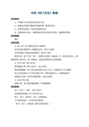 幼儿园中班教案《知了先生》预览