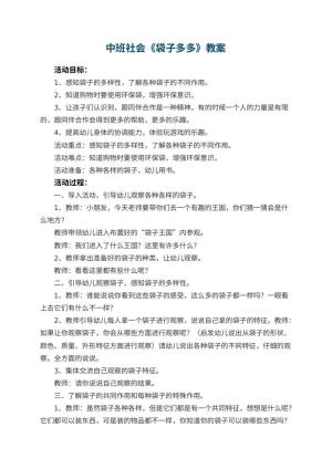 幼儿园中班社会教案《袋子多多》 包含反思