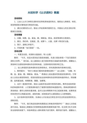 幼儿园大班科学优秀教案《认识调料》 包含反思
