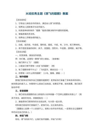 幼儿园大班优秀主题教案《想飞的翅膀》 包含反思预览
